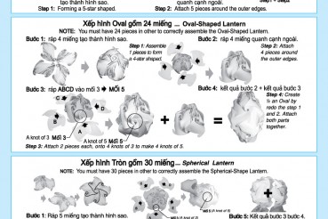 Hướng dẫn lắp lòng đèn IQ