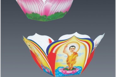 HOA ĐĂNG THẢ NƯỚC 1